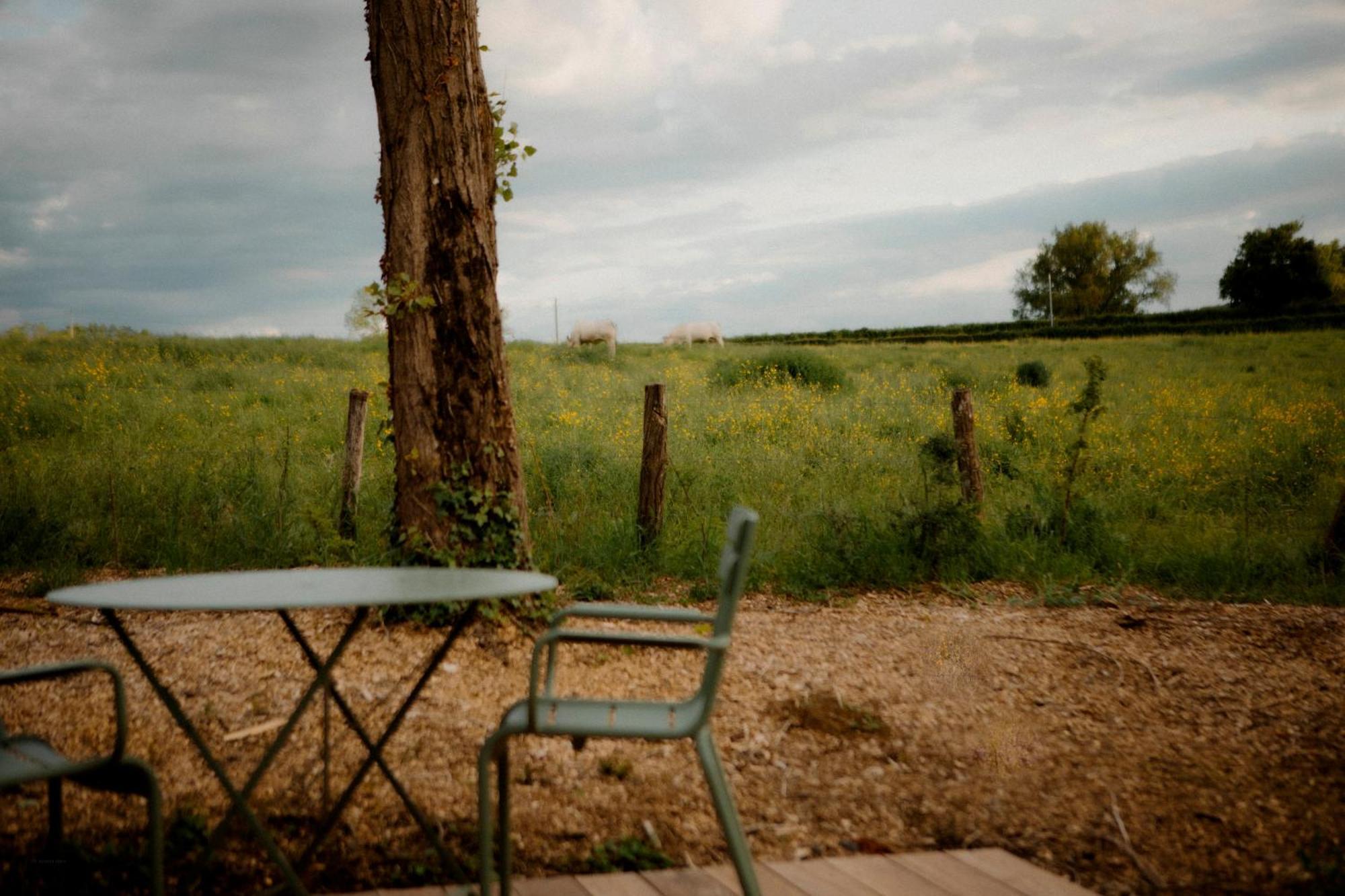 La Suite Nature By Lumipod X Tomette Singuliere Chateau  外观 照片